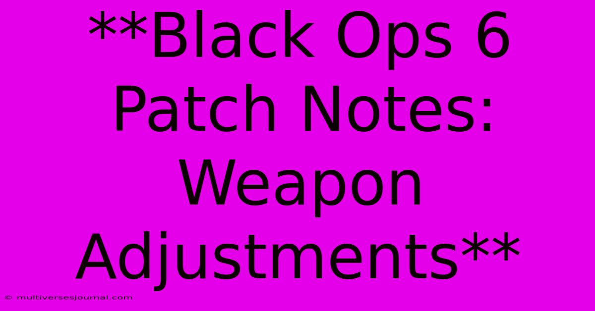 **Black Ops 6 Patch Notes: Weapon Adjustments**