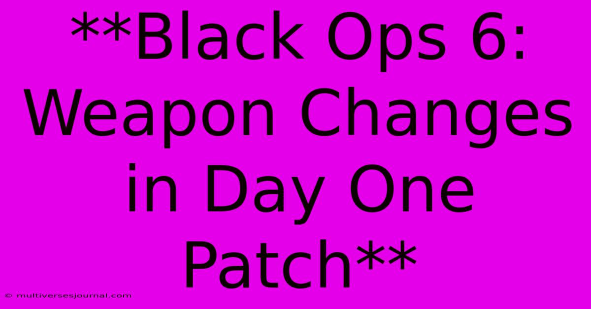 **Black Ops 6: Weapon Changes In Day One Patch** 