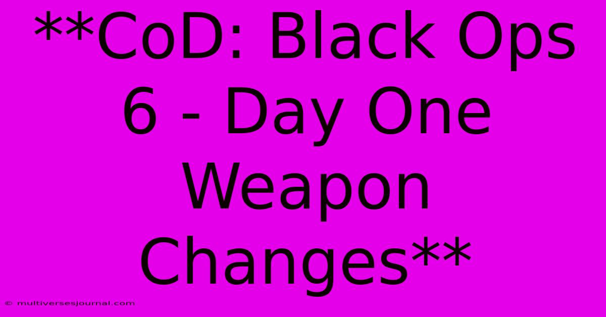 **CoD: Black Ops 6 - Day One Weapon Changes**