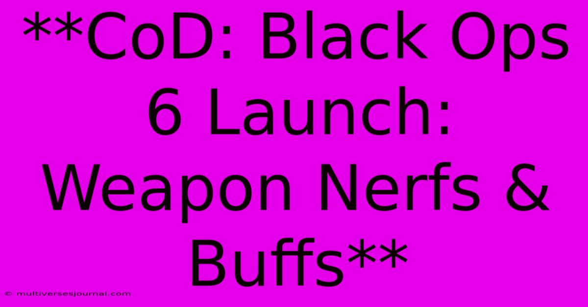 **CoD: Black Ops 6 Launch: Weapon Nerfs & Buffs**