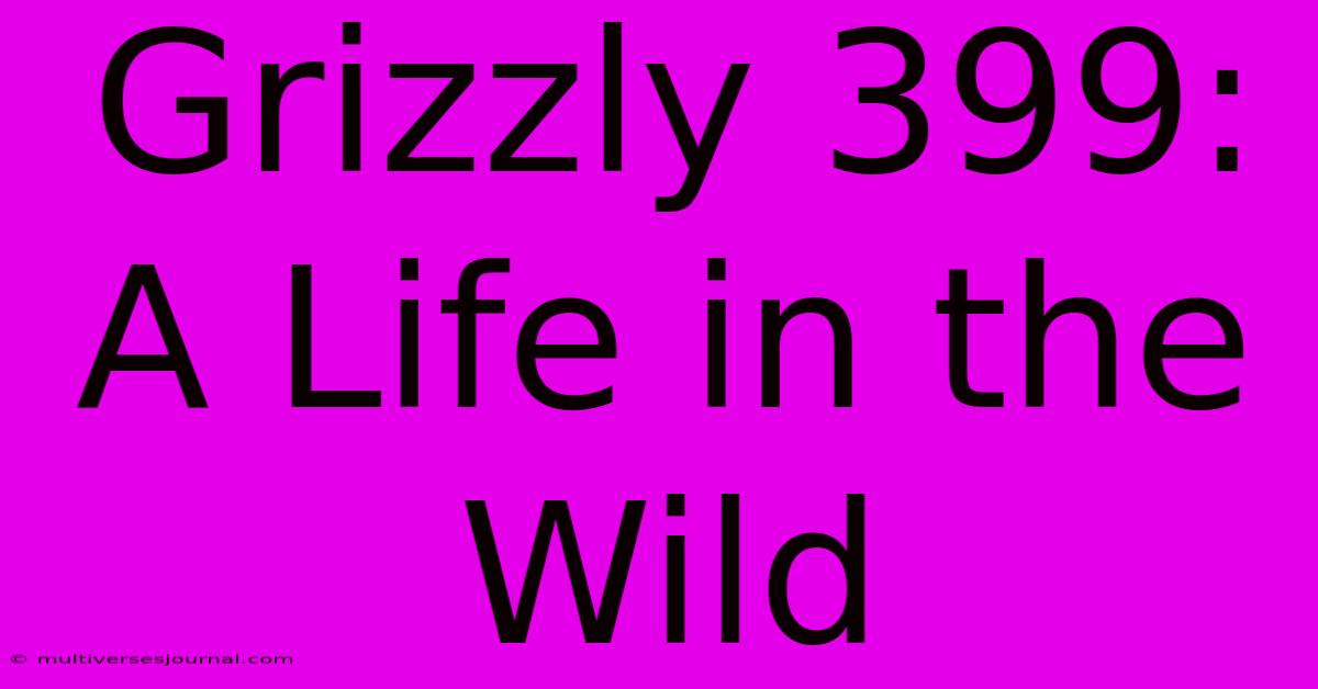 Grizzly 399: A Life In The Wild 