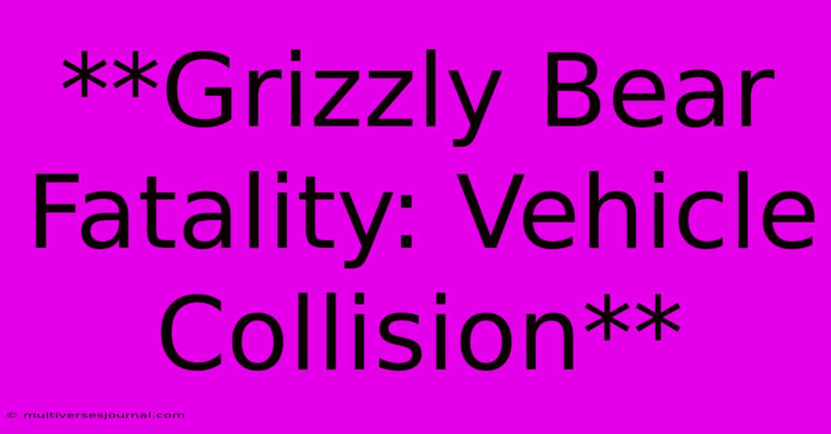 **Grizzly Bear Fatality: Vehicle Collision** 