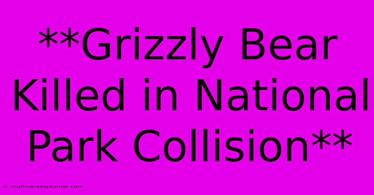 **Grizzly Bear Killed In National Park Collision**