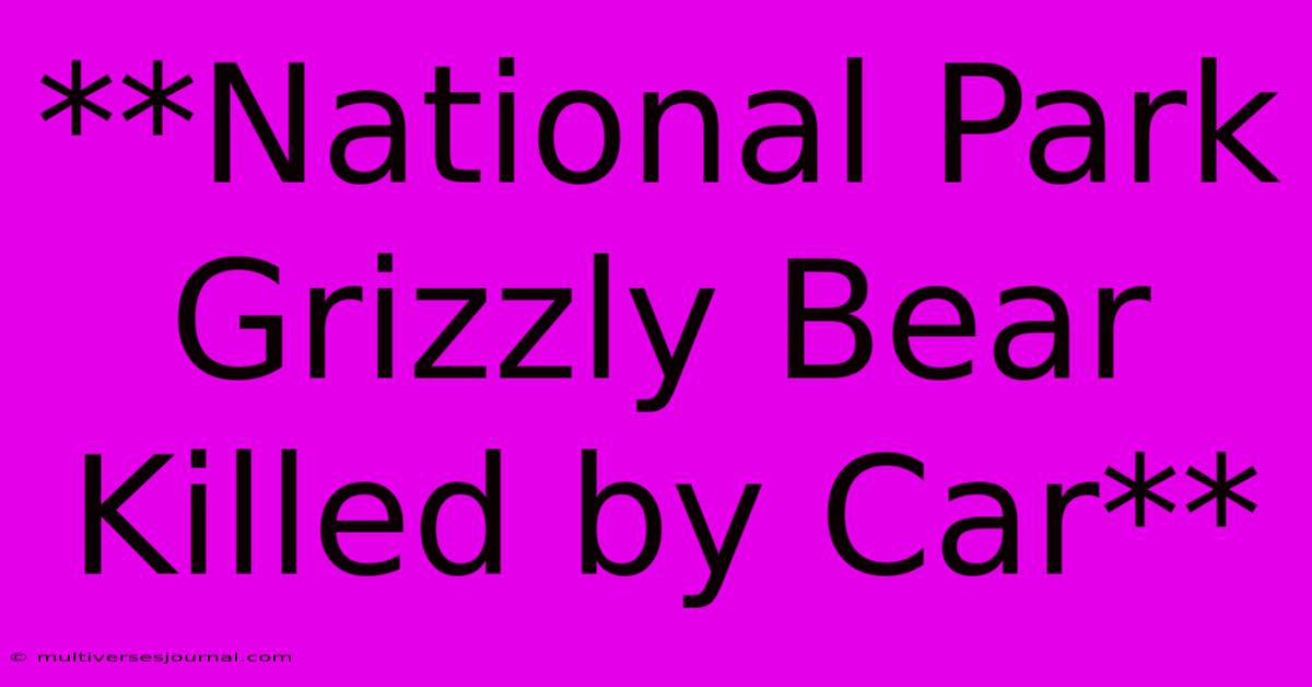 **National Park Grizzly Bear Killed By Car**