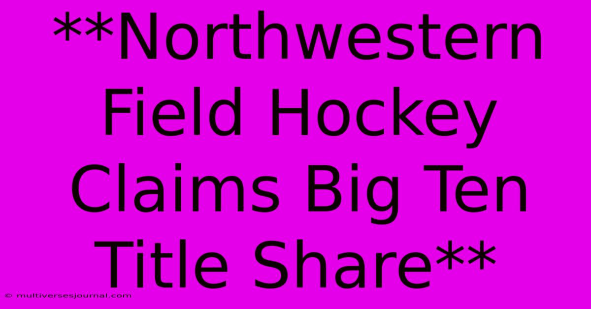 **Northwestern Field Hockey Claims Big Ten Title Share**