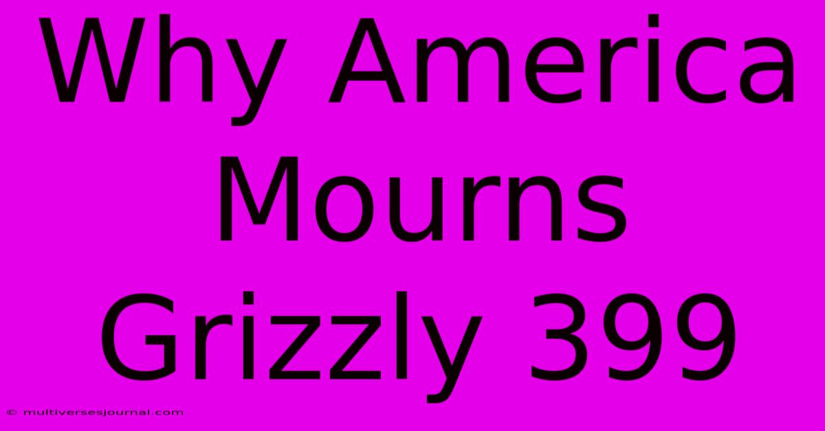 Why America Mourns Grizzly 399