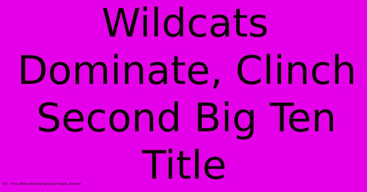 Wildcats Dominate, Clinch Second Big Ten Title 