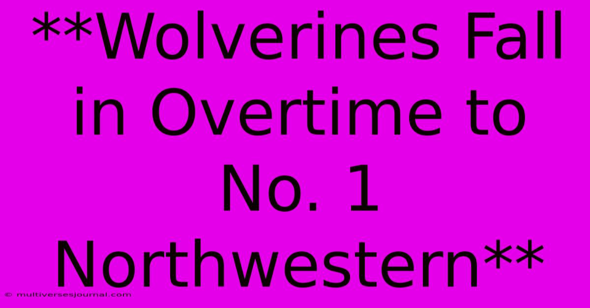 **Wolverines Fall In Overtime To No. 1 Northwestern**